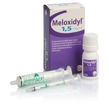 Meloxidyl 1,5 mg/ml orale Suspension für Hunde_0