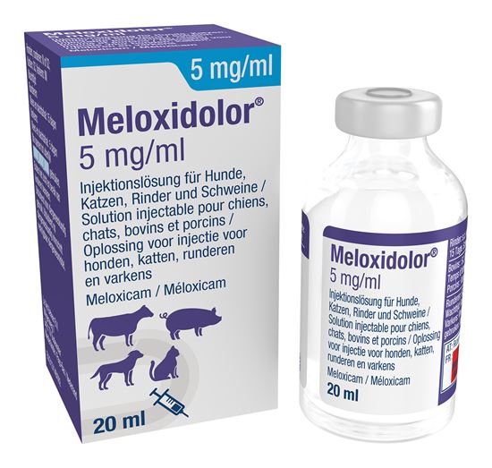 Meloxidolor Inj. 5 mg/ml_2147483647