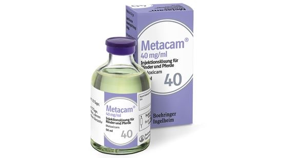 Metacam 40 mg/ml für Pferde und Rinder_0