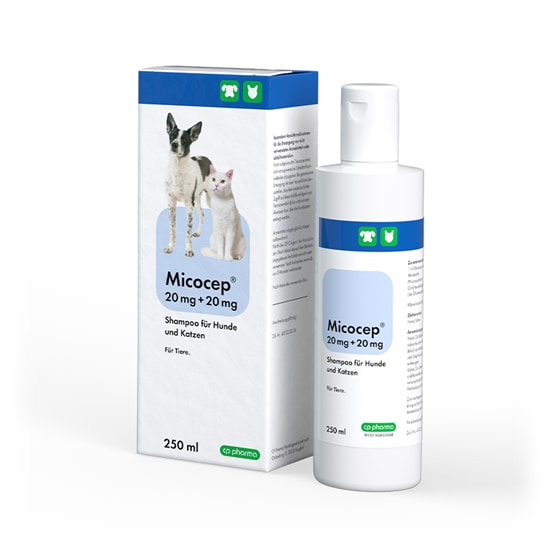 Micocep 20 mg + 20 mg Shampoo_2147483647