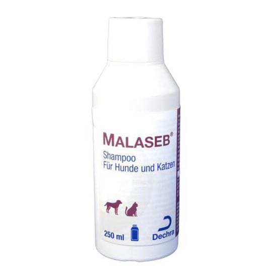 Malaseb Shampoo_2147483647