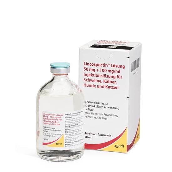 LINCOSPECTIN LÖSUNG_2147483647