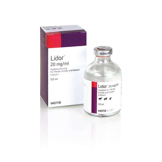 Lidor 20 mg/ml Inj.-Lsg._2