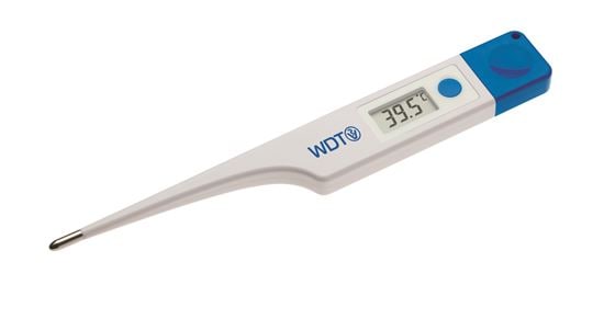 Fieberthermometer mit Anbindeöse VET 12 für Großtiere_0