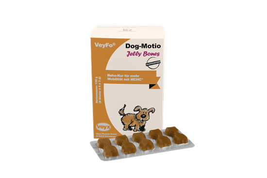 VeyFo Dog-Motio Jelly Bones_0