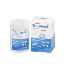 Traumeel T ad us. vet. Tabletten_1