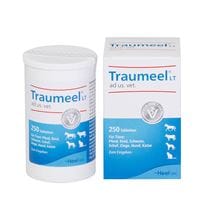 Traumeel LT ad us. vet. Tabletten_1