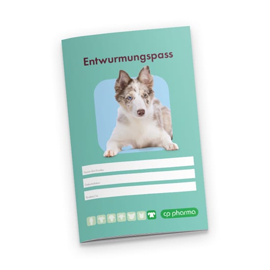 Wurmpass Hund_2147483647