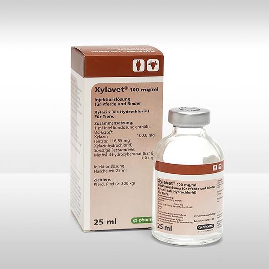 Xylavet 100 mg/ml_2147483647