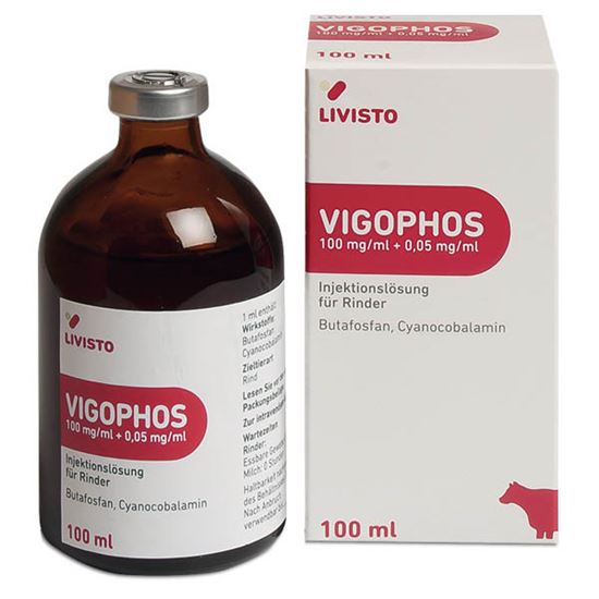 Vigophos_2147483647