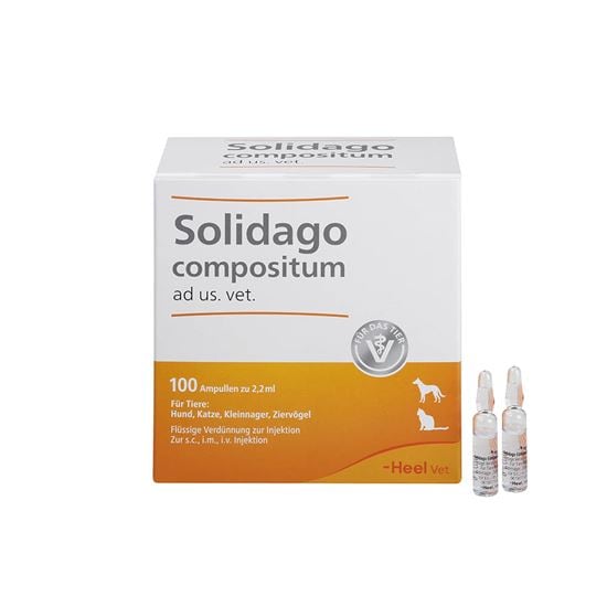 Solidago compositum ad us. vet_2147483647