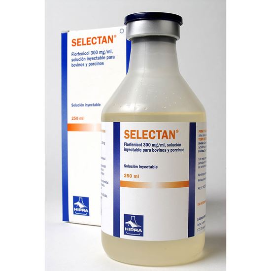 Selectan PP_2147483647