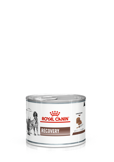 Royal Canin Veterinary Recovery Dosen Nassfutter für Hunde und Katzen_2147483647