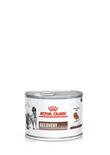 Royal Canin Veterinary Recovery Dosen Nassfutter für Hunde und Katzen_2147483647