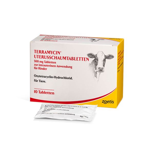 TERRAMYCIN UT.SCHAUMTBL. 500 MG_2147483647