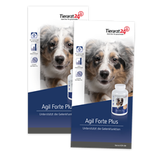 Flyer Tierhalter Agil Forte Plus_0