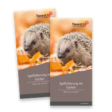 Flyer Tierhalter Igel Intensive Care_1