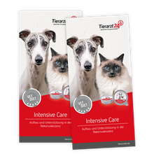 Flyer Tierhalter Vet Diet Intensive Care_0