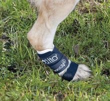 Balto BT SPLINT Größe XXS Vorder- und Hinterbeinorthese_2147483647