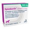 Spizobactin 250 mg_2147483647