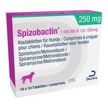 Spizobactin 250 mg_1