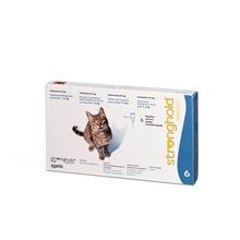 Stronghold 45 mg Katze 2,6-7,5 kg - blau_2147483647