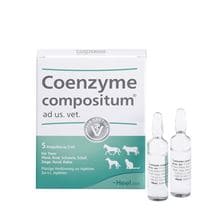 Coenzyme compositum ad us.vet. Ampullen_1