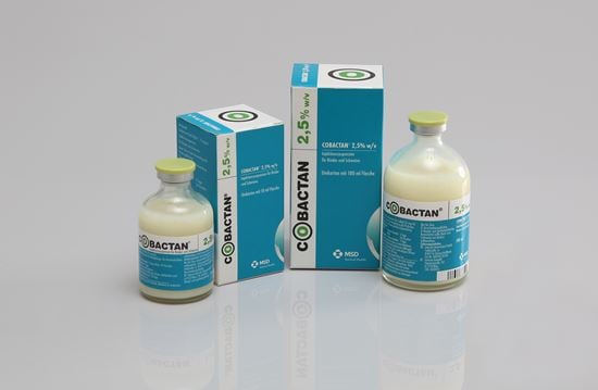 Cobactan 2,5% Injektionssuspension_2147483647