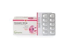 Clavaseptin 500 mg Tabletten_2147483647