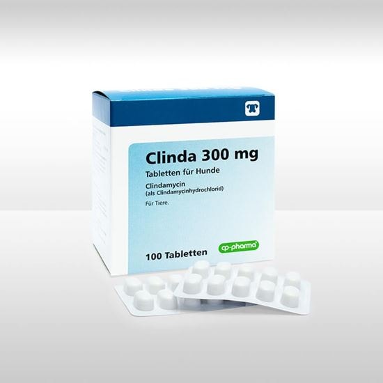 Clinda 300 mg Tabletten für Hunde_2147483647