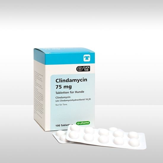 Clindamycin 75 mg Tabletten_2147483647