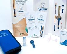 Caninsulin® Vet Pen 1,0 - 16 I.E._1