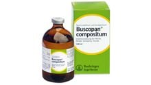 Buscopan compositum Injektionslösung_1