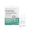 Cactus compositum ad us. vet._2147483647