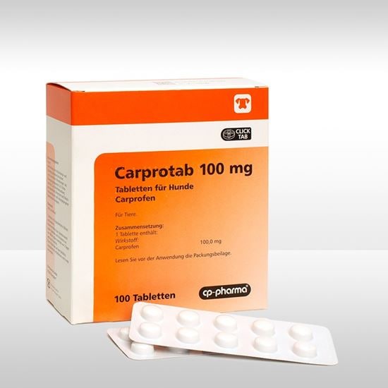 Carprotab 100 mg Tabletten für Hunde CP-Pharma_2147483647