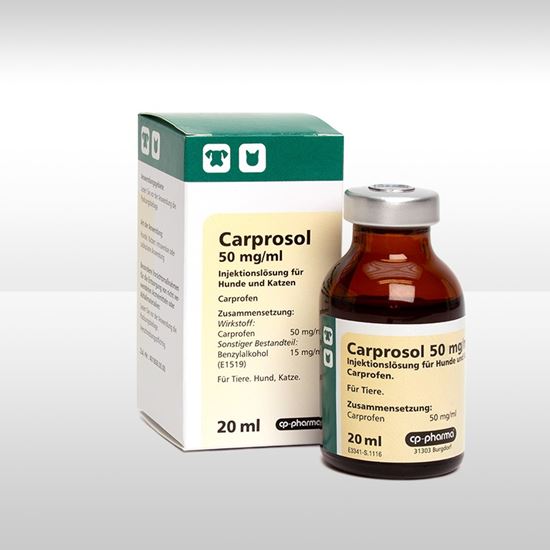 Carprosol 50 mg/m, Injektionslösung für Hunde und Katzen_2147483647