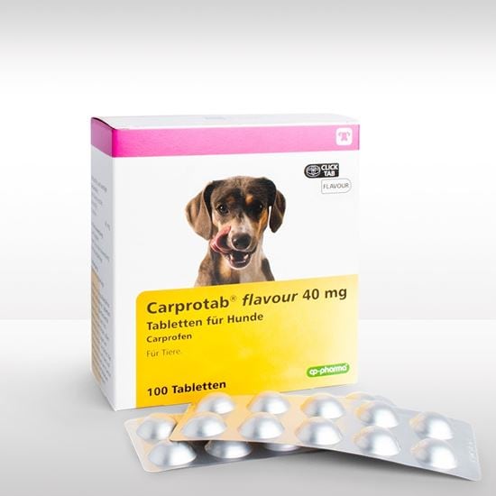 Carprotab flavour 40 mg Tabletten für Hunde_2147483647