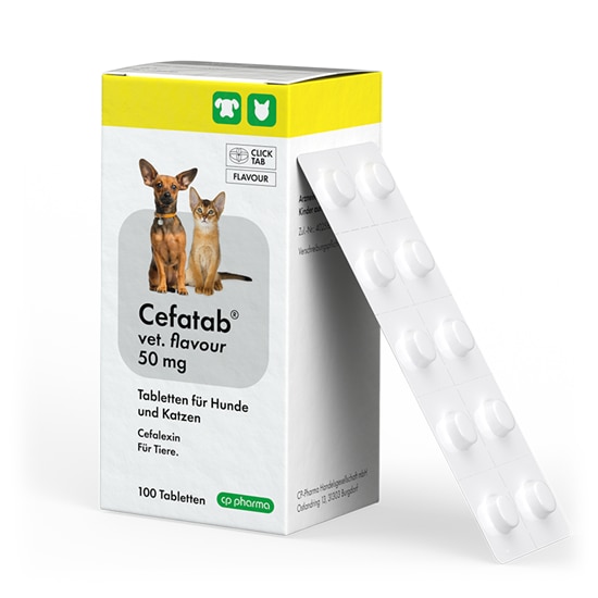 Cefatab vet. flavour 50 mg Tabletten für Hunde und Katzen_2147483647