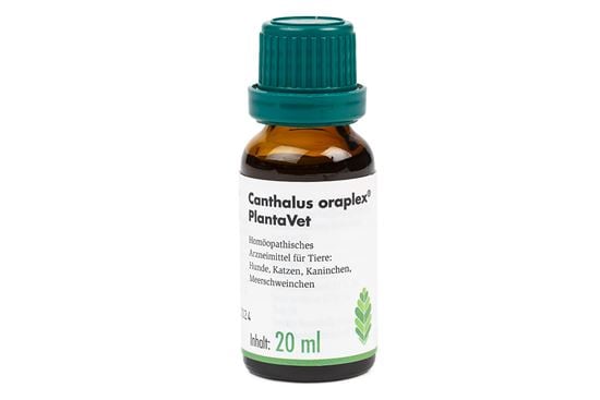 Canthalus oraplex® PlantaVet_2147483647