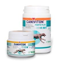 Caniviton forte plus_0