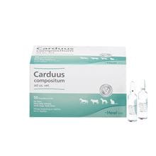 Carduus compositum ad us. vet._1