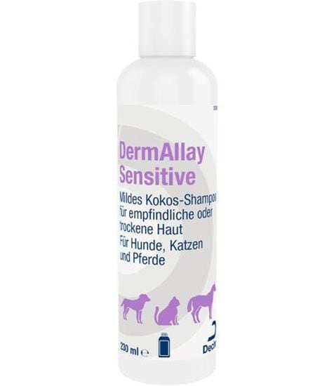 DermAllay Sensitive Shampoo_2147483647