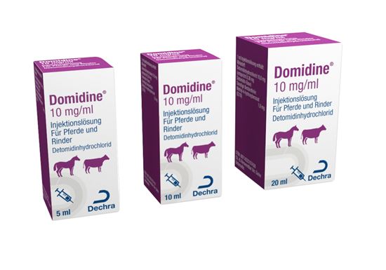 Domidine®_2147483647