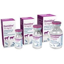 Domidine_0