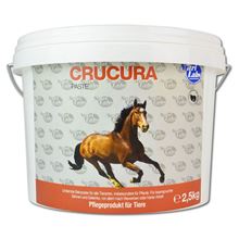 Crucura Paste_2147483647