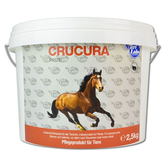 Crucura Paste_2147483647