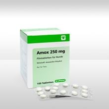 Amox 250 mg Filmtabletten_1