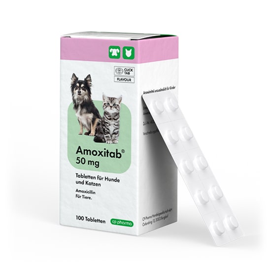 Amoxitab 50 mg Tabletten für Hunde und Katzen_0