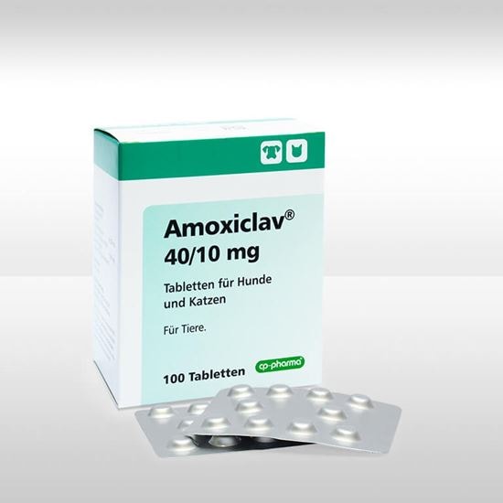 Amoxiclav 40/10 mg Tabletten_2147483647