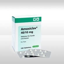 Amoxiclav 40/10 mg Tabletten_1